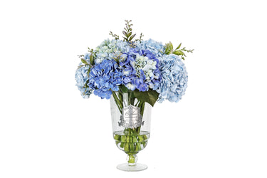 GSH05 | NEW Grand Summer Hydrangeas in Blue